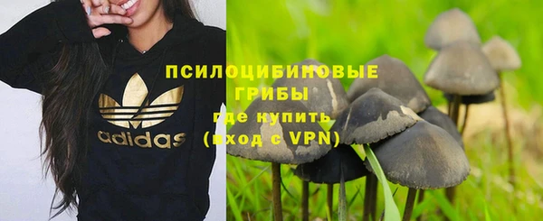 дживик Алексеевка
