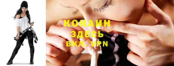ешки Алексин