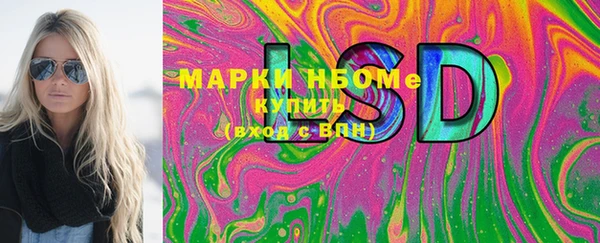 ешки Алексин