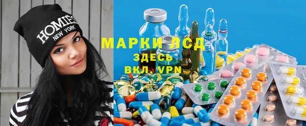 a pvp Алзамай