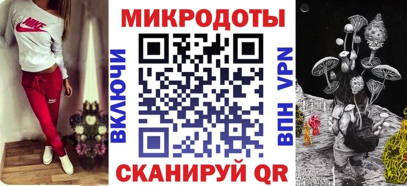 Псилоцибиновые грибы Psilocybe  Заволжск 